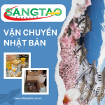 Vận chuyển hàng không Việt – Nhật